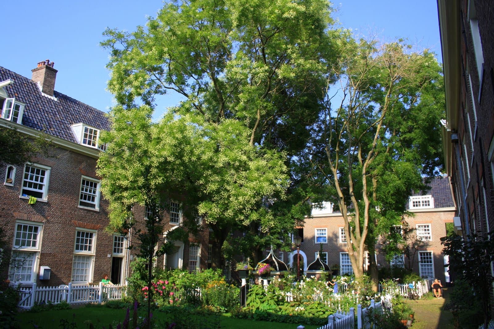 Karthuizerhofje